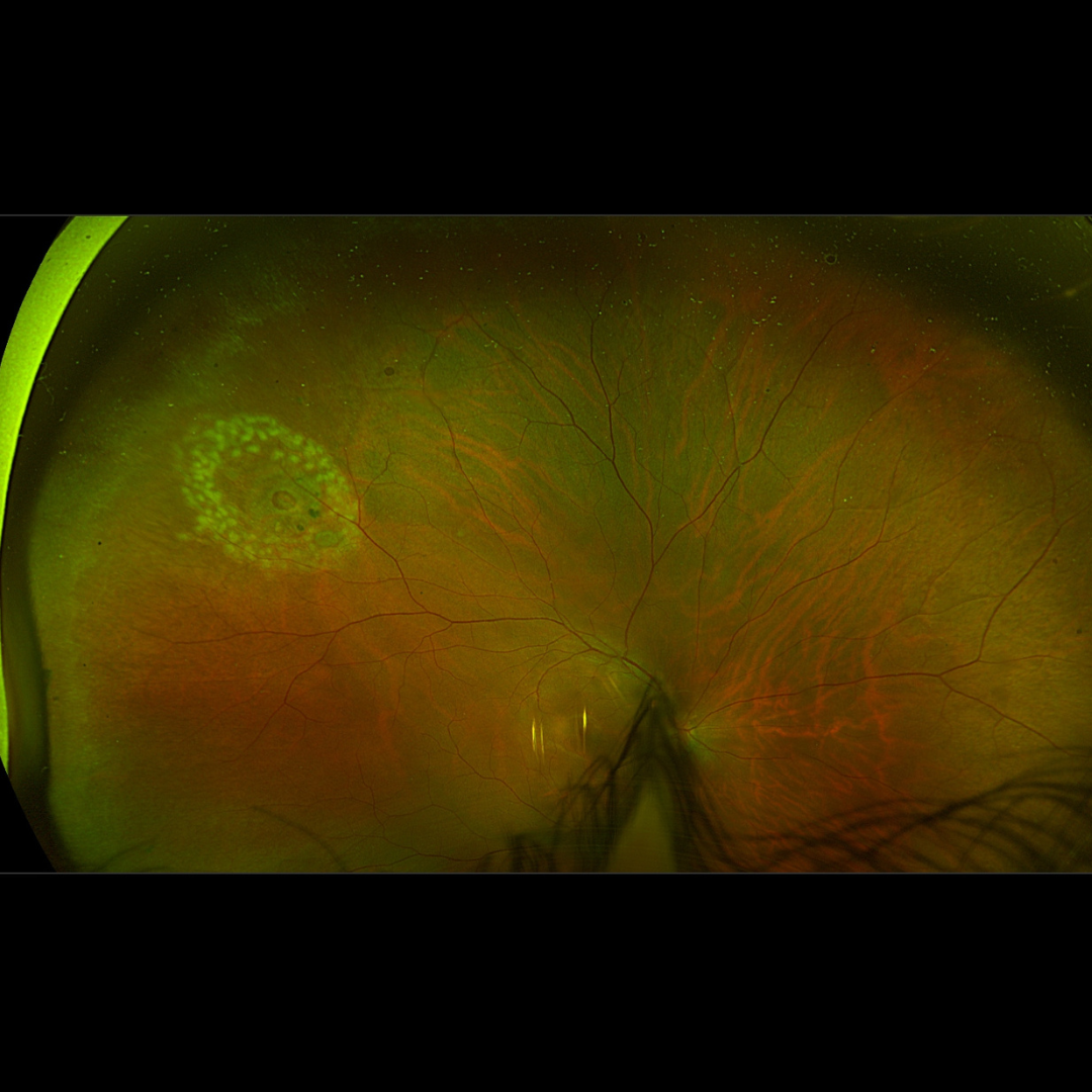 Untitled design 2025 02 04T152735.723